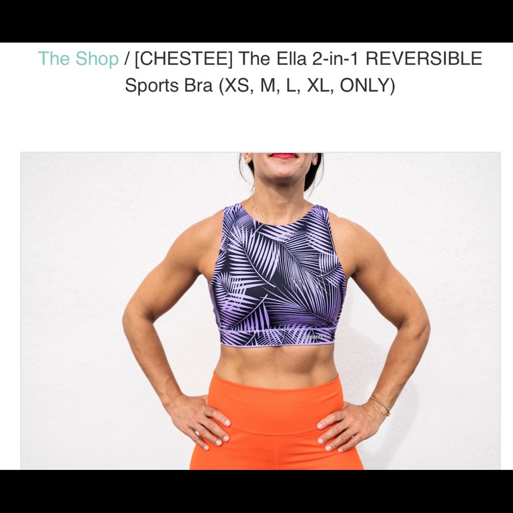 NWT Chestee reversible sports bra